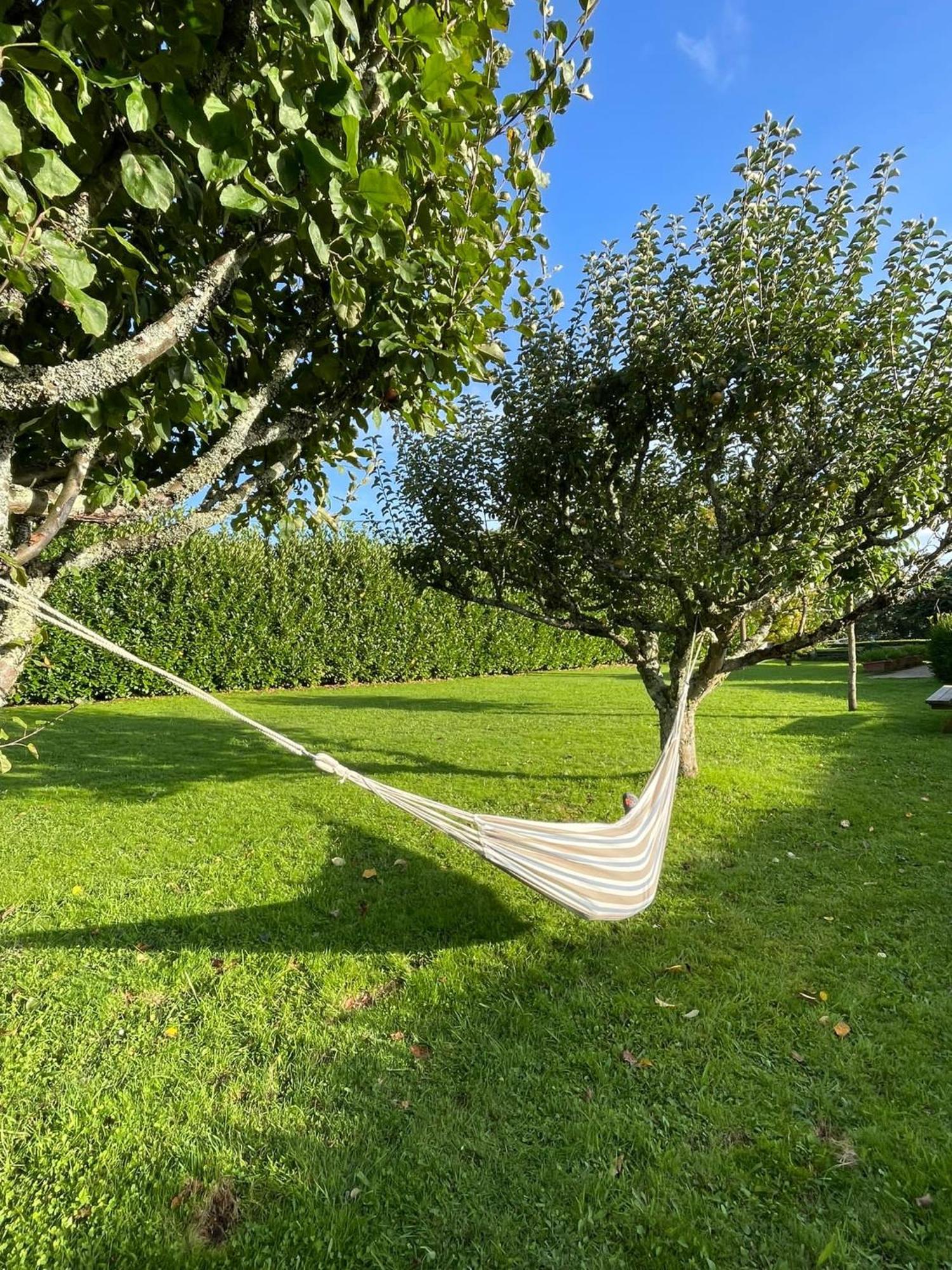 La Casa Da Pipa Vila Cesuras Exterior foto